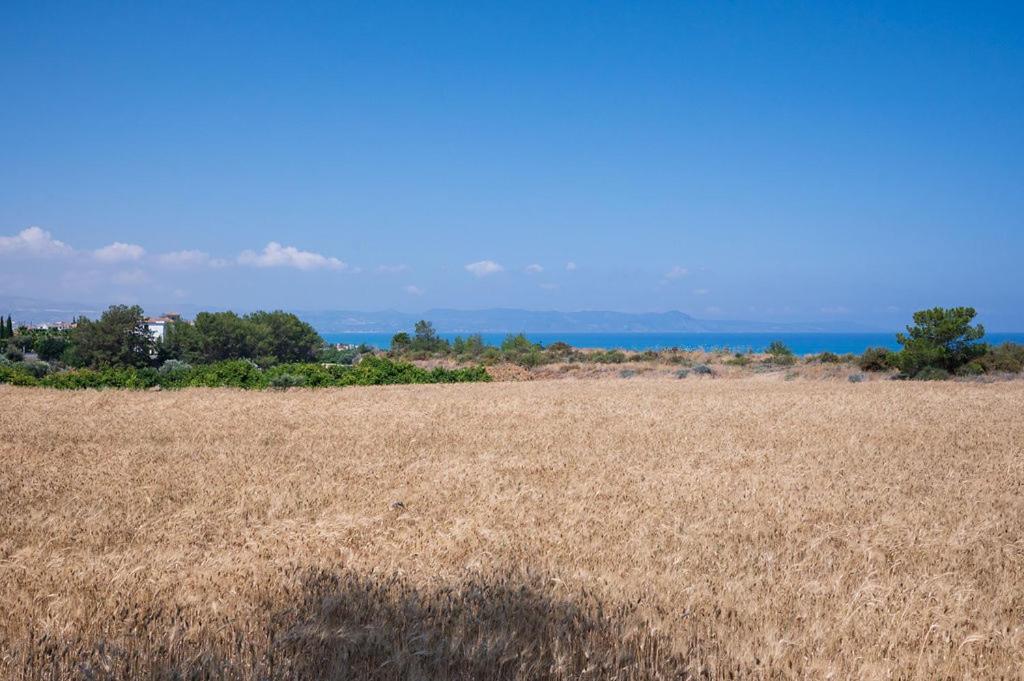 ארגאקה Villa Bimini מראה חיצוני תמונה